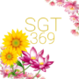 SGT369.com